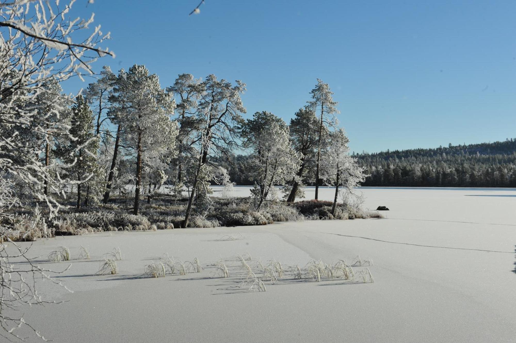 Auroracabin Chalets Villa Saariselkä Kamer foto