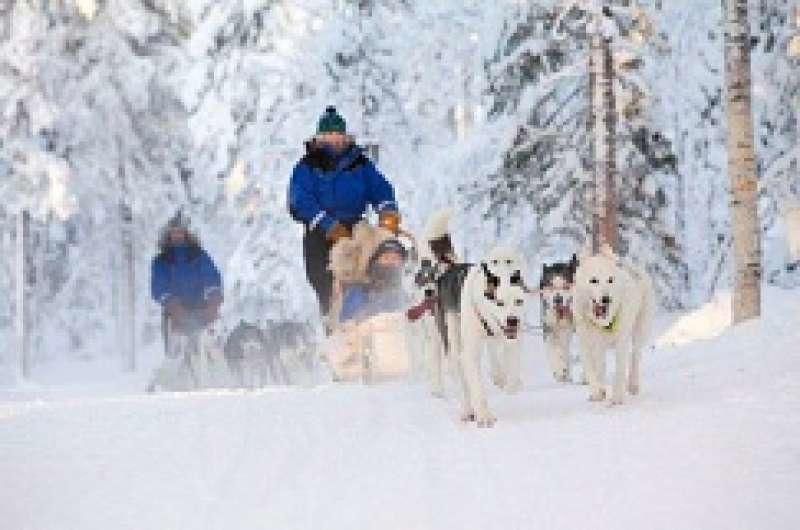 Auroracabin Chalets Villa Saariselkä Buitenkant foto