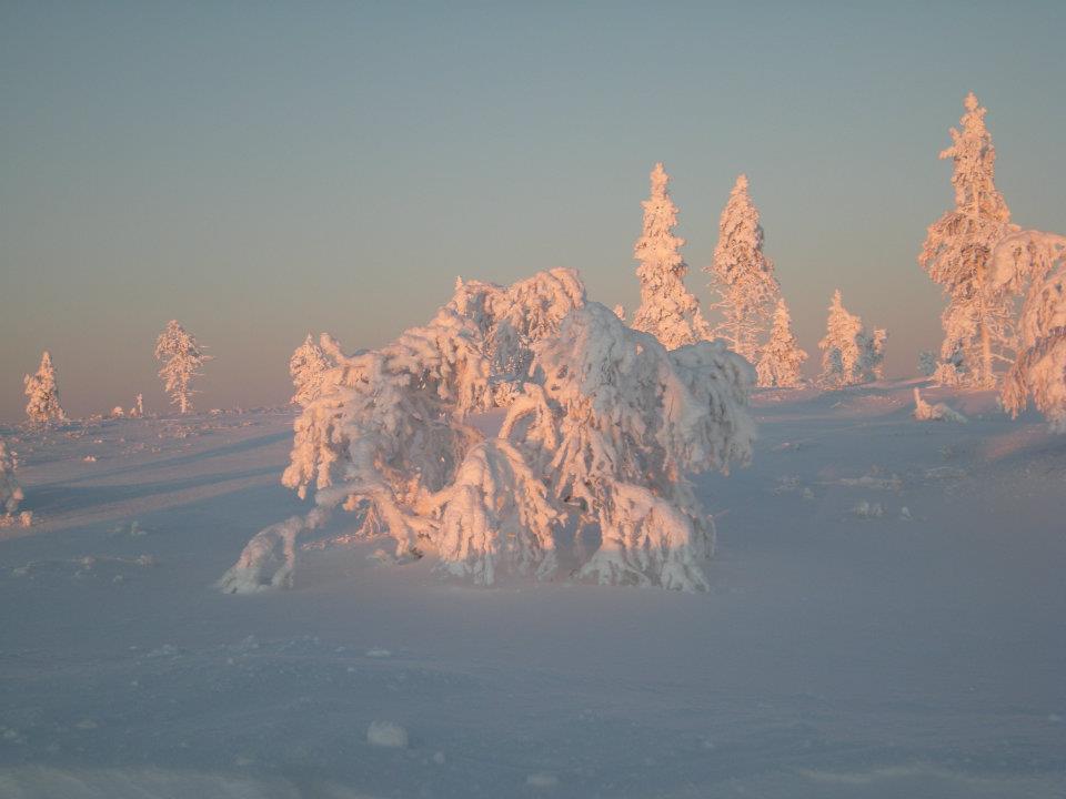 Auroracabin Chalets Villa Saariselkä Buitenkant foto