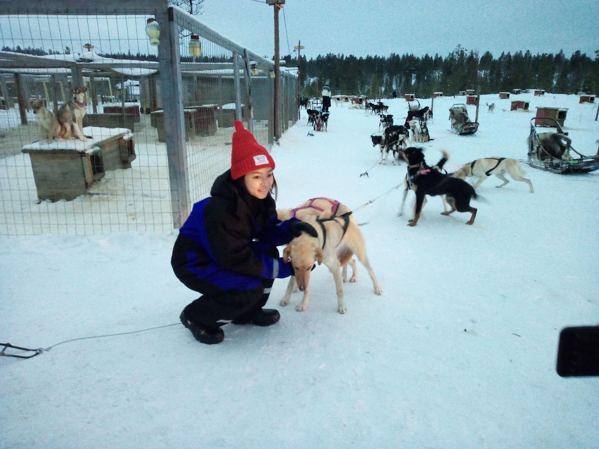 Auroracabin Chalets Villa Saariselkä Buitenkant foto