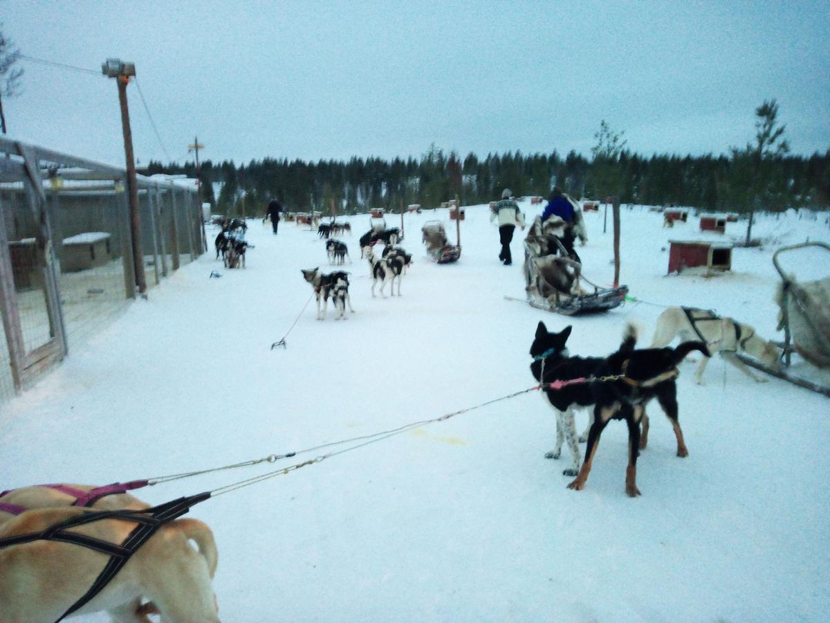 Auroracabin Chalets Villa Saariselkä Buitenkant foto