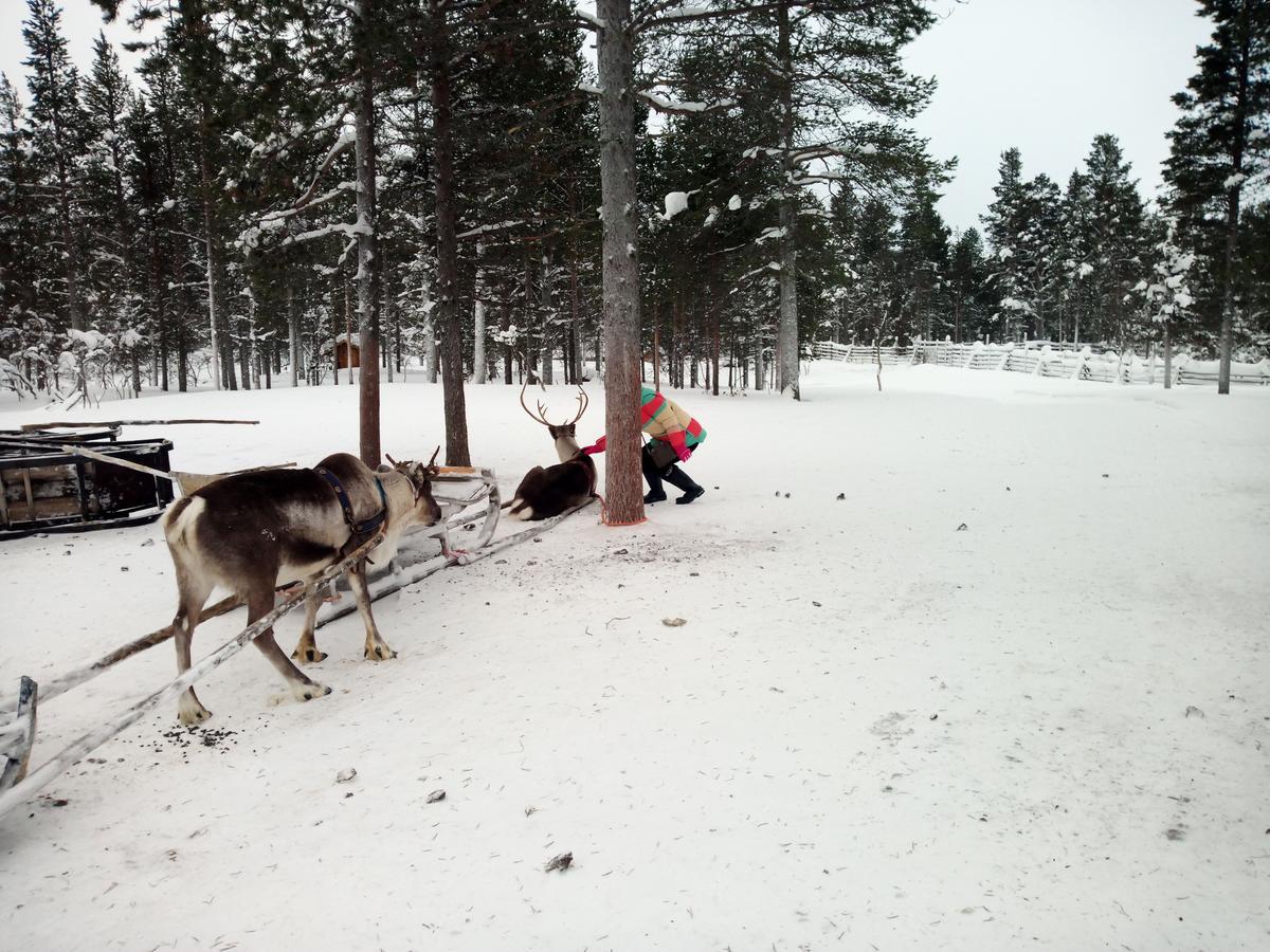 Auroracabin Chalets Villa Saariselkä Buitenkant foto