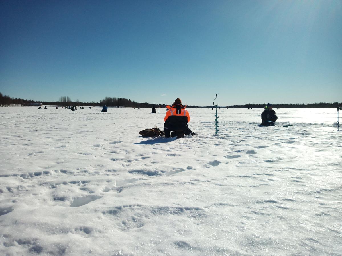 Auroracabin Chalets Villa Saariselkä Buitenkant foto